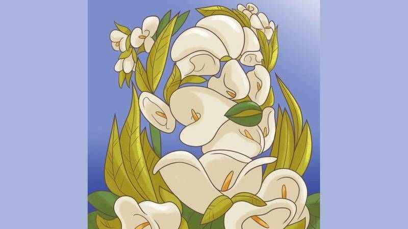 Doğru kararların insanız mısınız yoksa doğasever mi? İlk gördüğünüz resim anlatıyor…